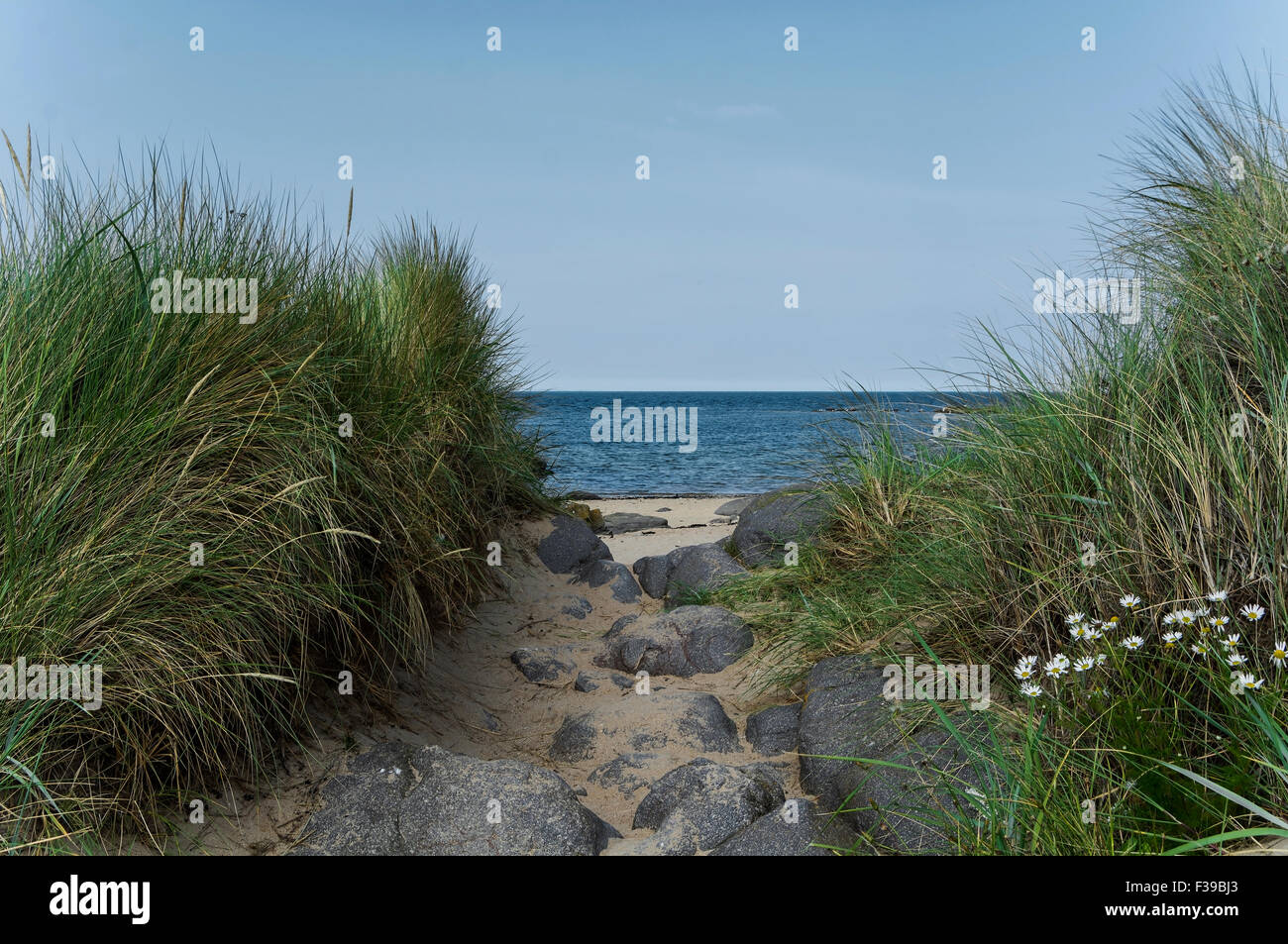 Ein Sandweg zwischen grasbewachsenen Dünen, führt zum Strand und Meer an einem klaren Sommertag. Stockfoto