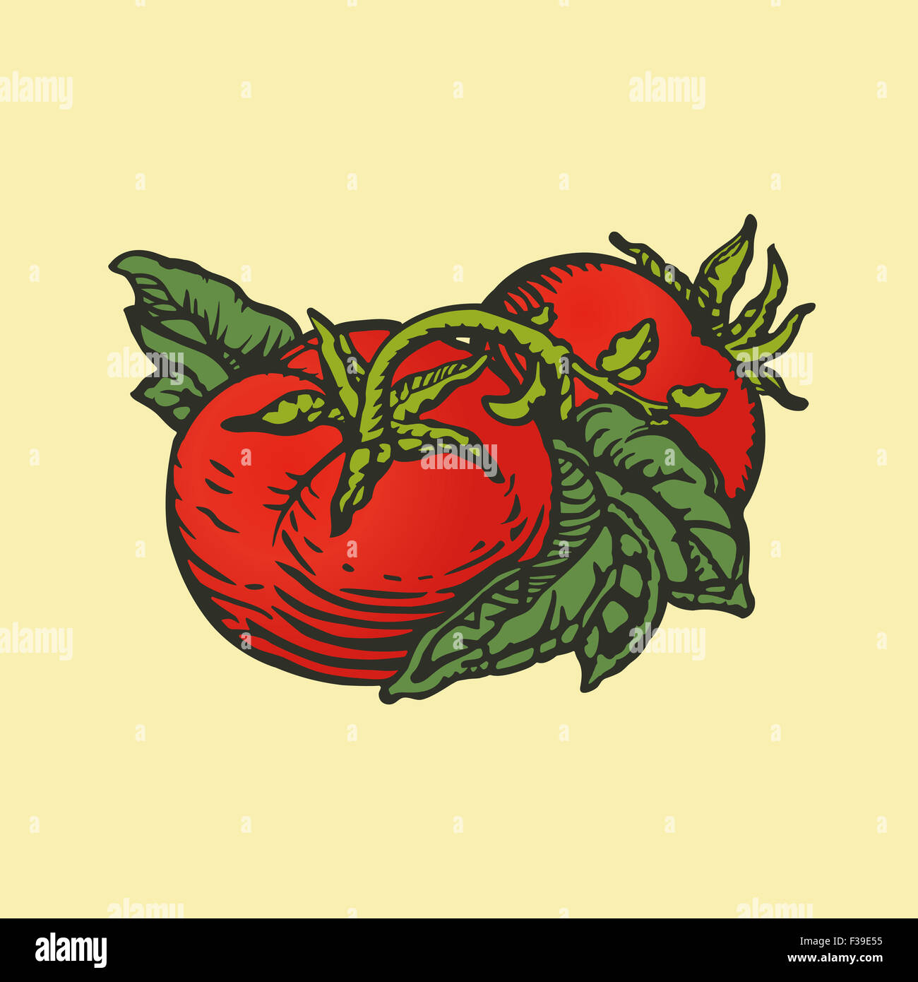 Paar Tomaten in Holzschnitt Druckformat Stockfoto