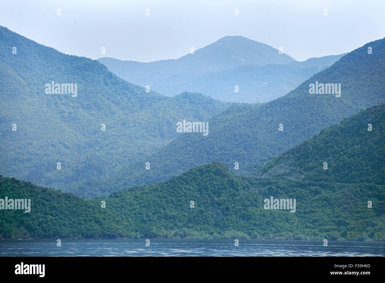 Skutarisee, Montenegro, an einem nebligen Morgen Stockfoto