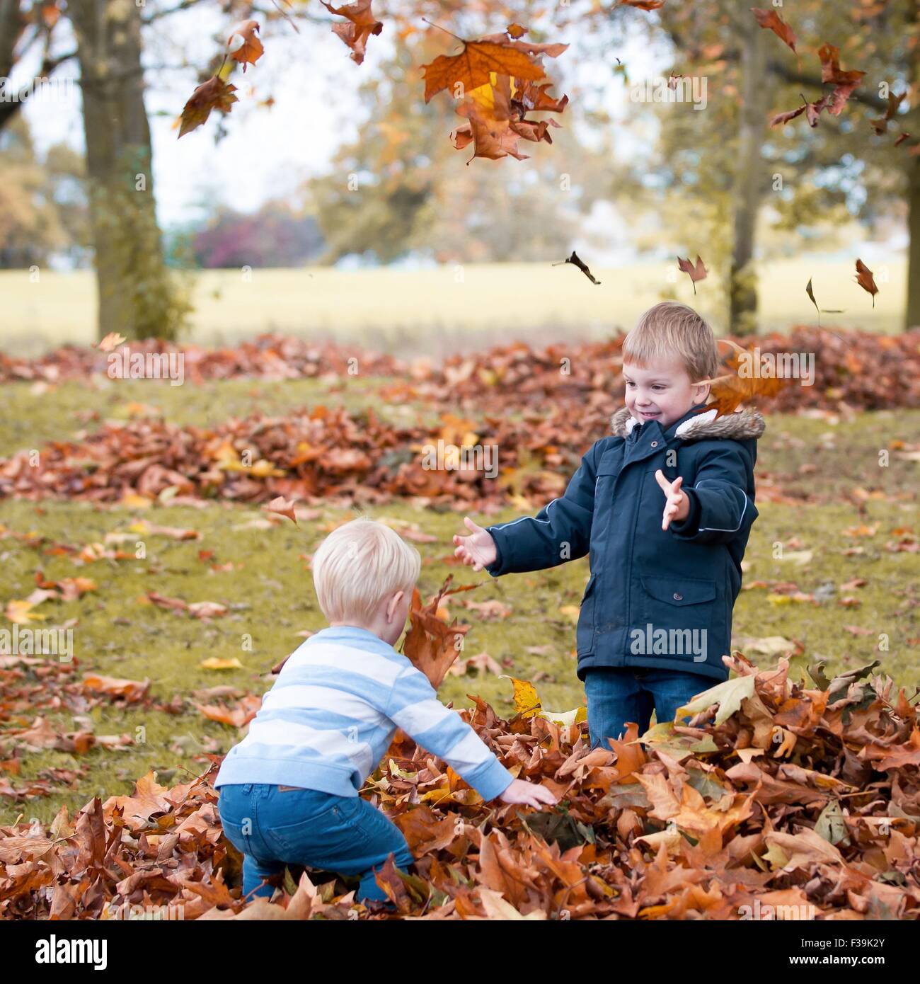 Zwei Jungs spielen mit Herbstlaub Stockfoto