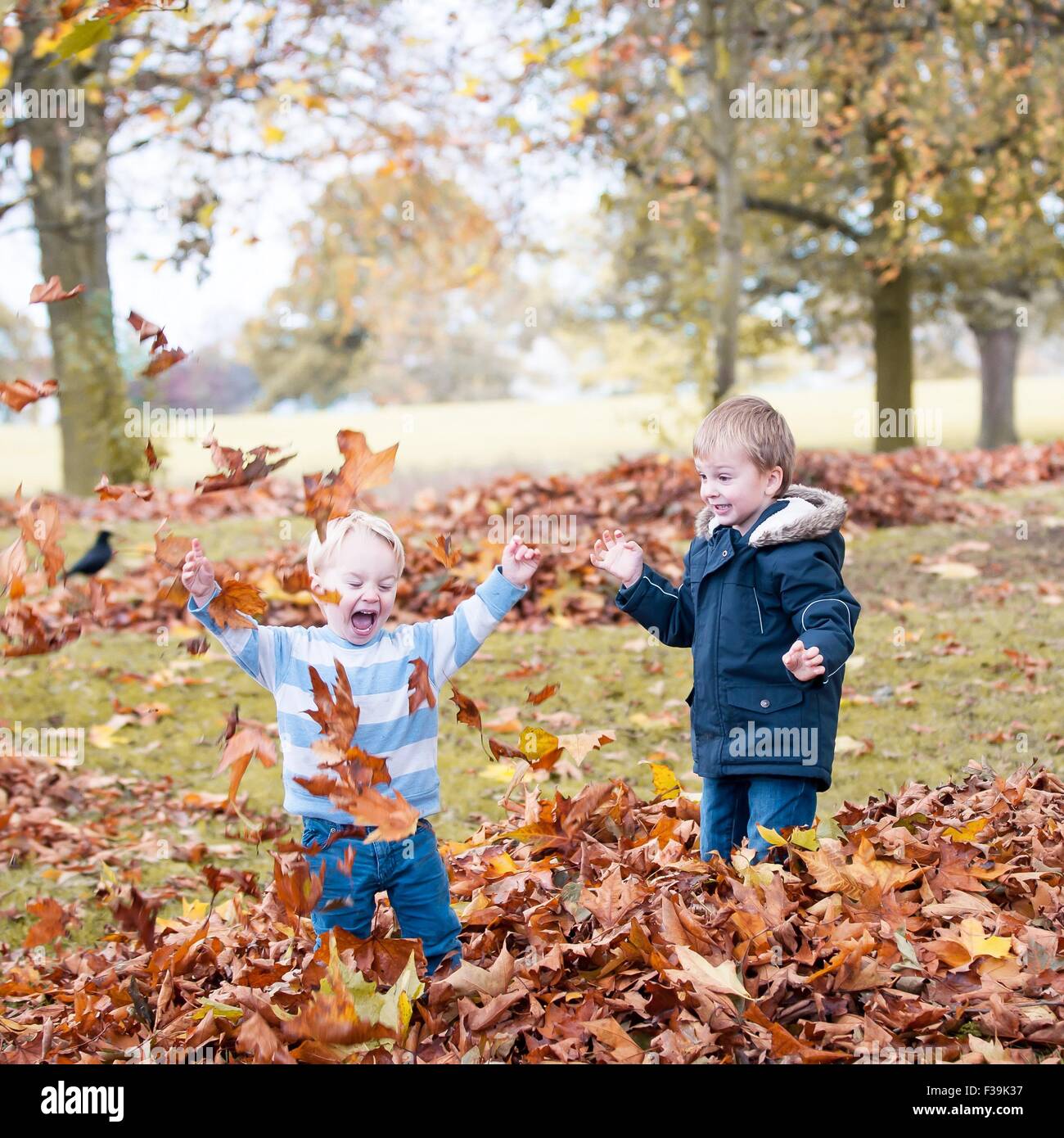 Zwei Jungs spielen mit Herbstlaub Stockfoto