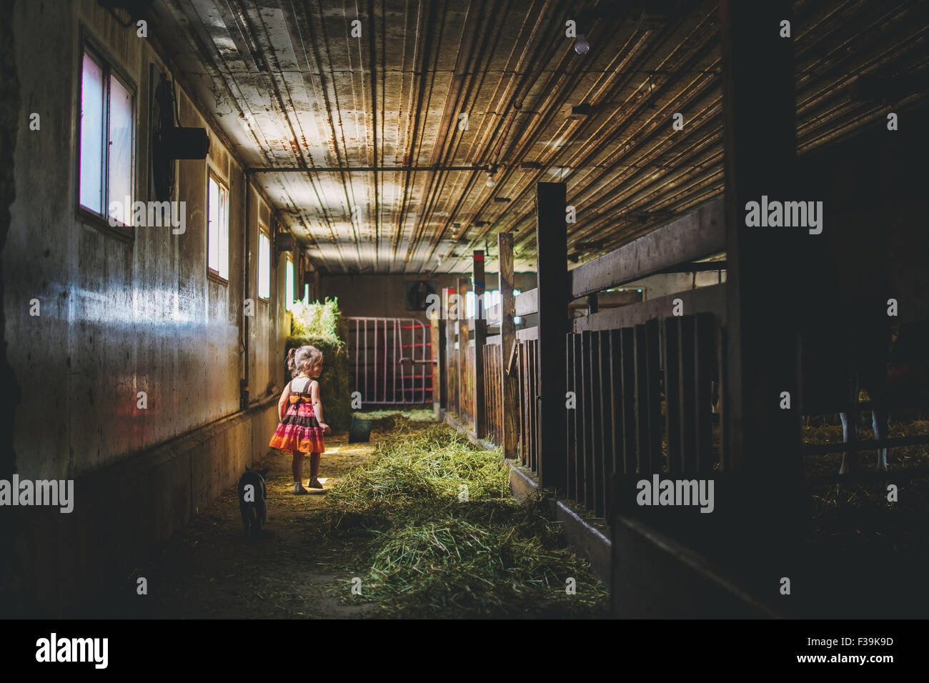 Mädchen in einem Stall Stockfoto