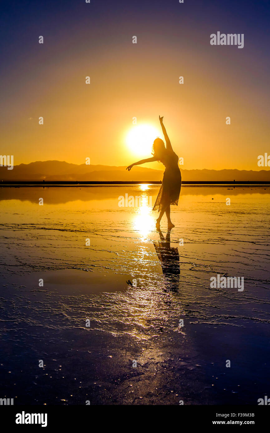 Tanzende Ballerina Silhouette Stockfoto