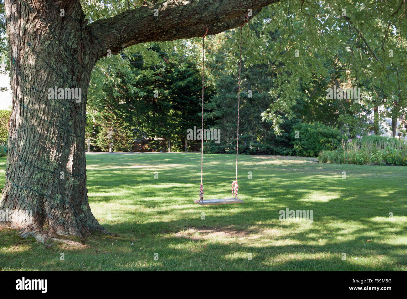 Holzschaukel hängen von einem Baum in einem Hof. Stockfoto