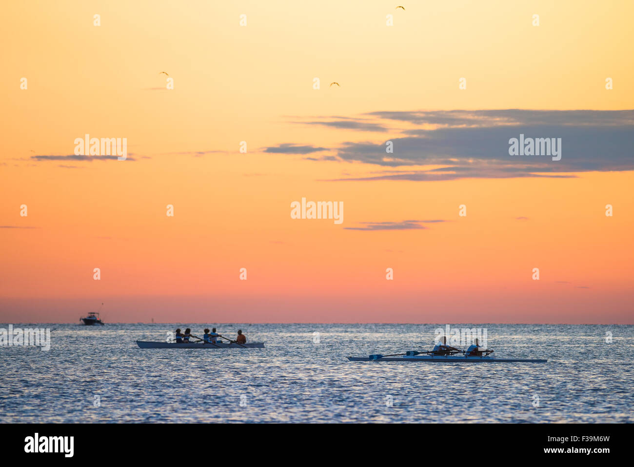Rudern Team Meer bei Sonnenuntergang Rudern Mannschaften üben im Hafen von Triest, Italien. Stockfoto