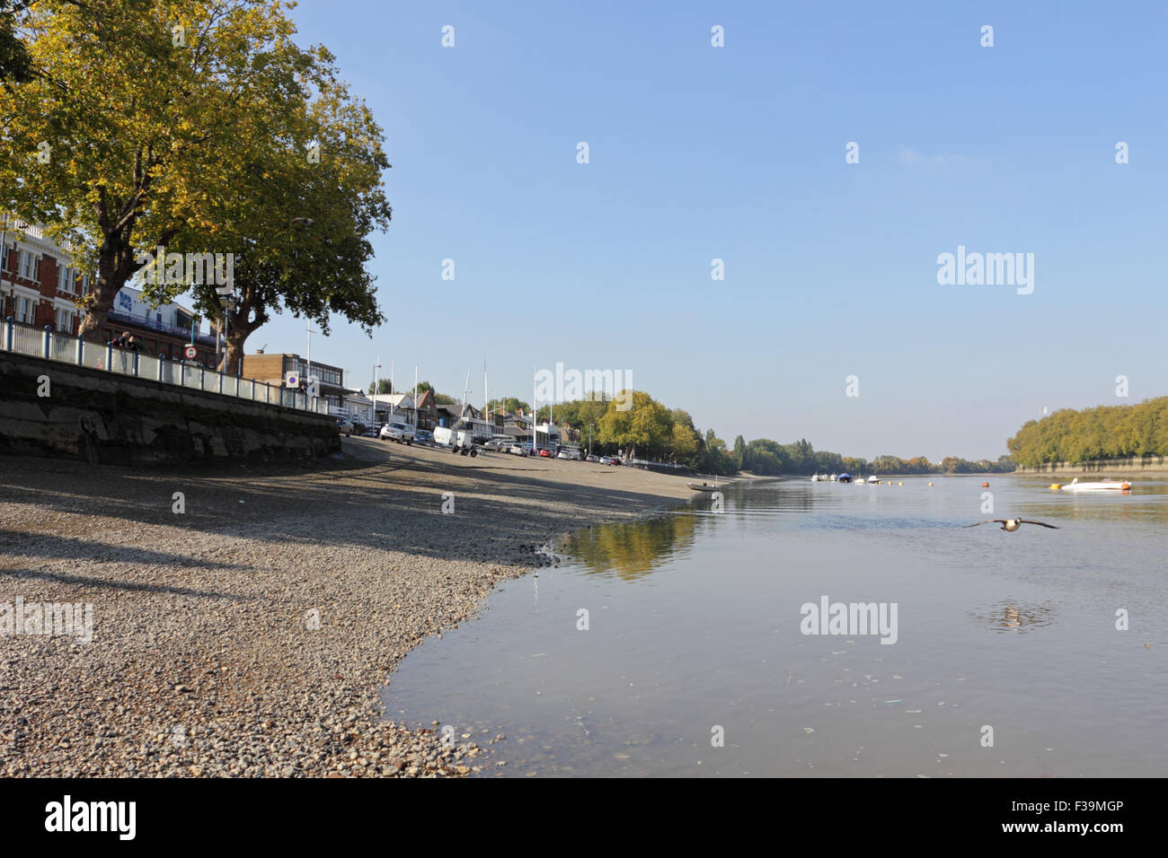 Putney, SW-London, UK. 2. Oktober 2015. Eine weitere feine Sonnentag auf der Themse in Putney, mit Temperaturen bis zu einem warmen 18 Grad. Bildnachweis: Julia Gavin UK/Alamy Live-Nachrichten Stockfoto