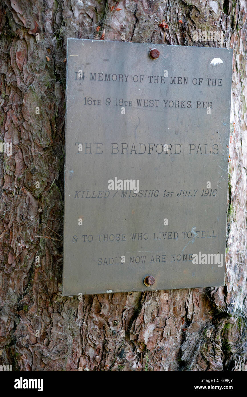 Ergreifende Plaque in Sheffield Memorial Park, von denen viele in der Schlacht an der Somme, 1. Juli 1916 starb, Bradford-Pals Stockfoto