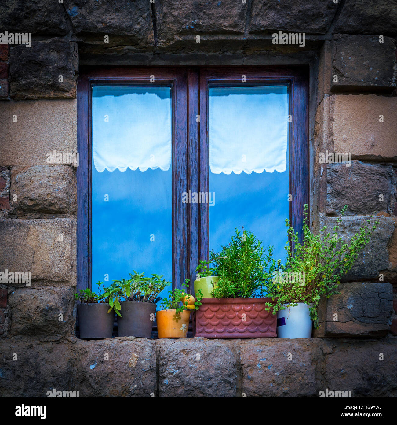 Leeres Fenster und grüne dekorative Blumen Stockfoto