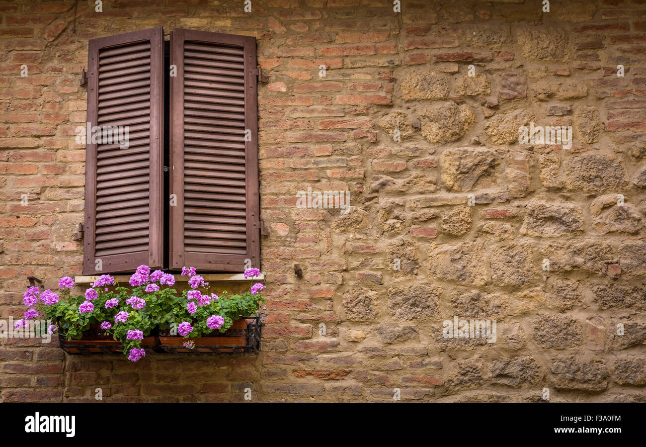 Braune Fensterläden und lila dekorative Blumen Stockfoto