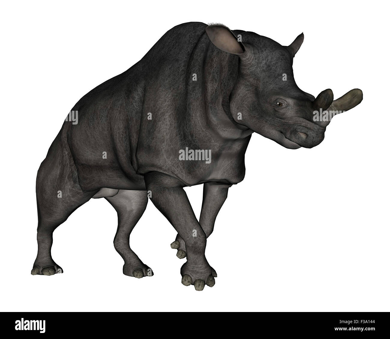 Brontotherium isoliert auf weißem Hintergrund. Stockfoto