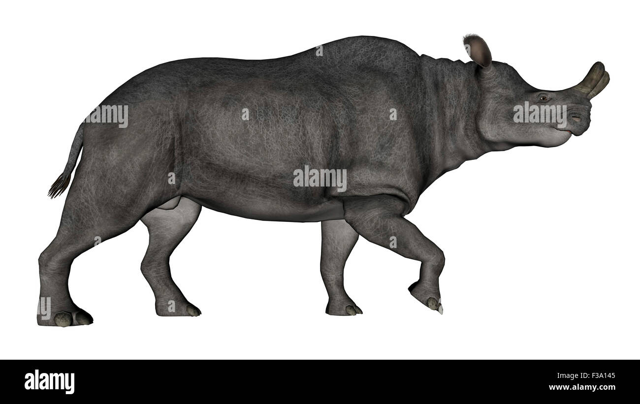 Brontotherium isoliert auf weißem Hintergrund. Stockfoto