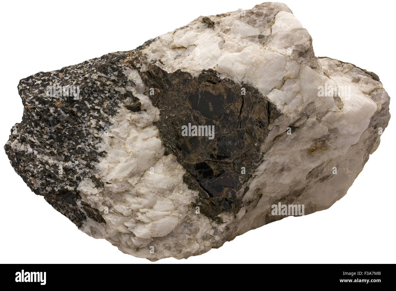 Granat Amphibolit (auf der linken Seite) und Tonalit Pegmatit mit großen Biotit phenocryst Stockfoto