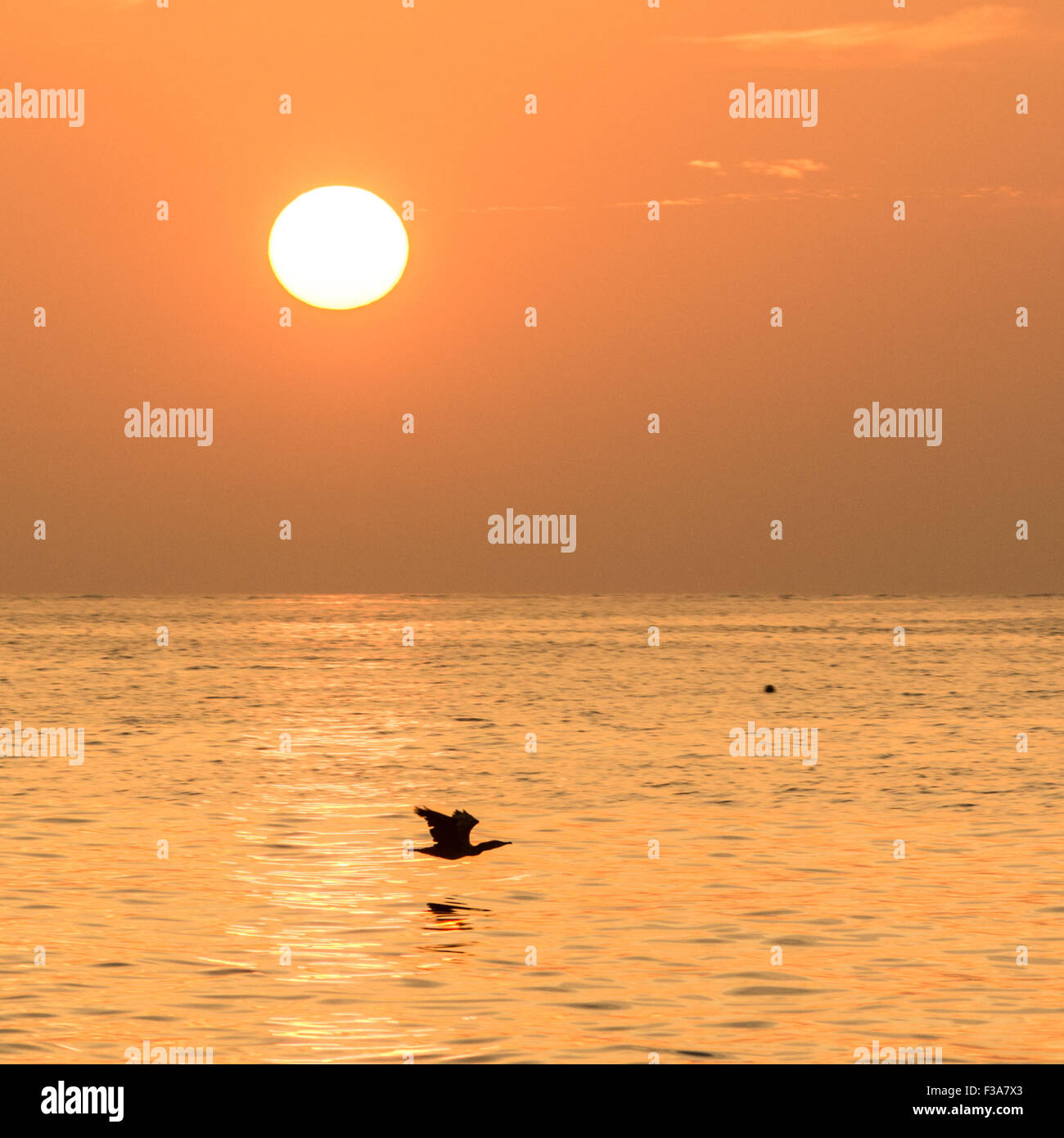 Mousehole, Cornwall, UK. 3. Oktober 2015. Großbritannien Wetter. Sonnenaufgang über Mounts Bay. Bildnachweis: Simon Maycock/Alamy Live-Nachrichten Stockfoto