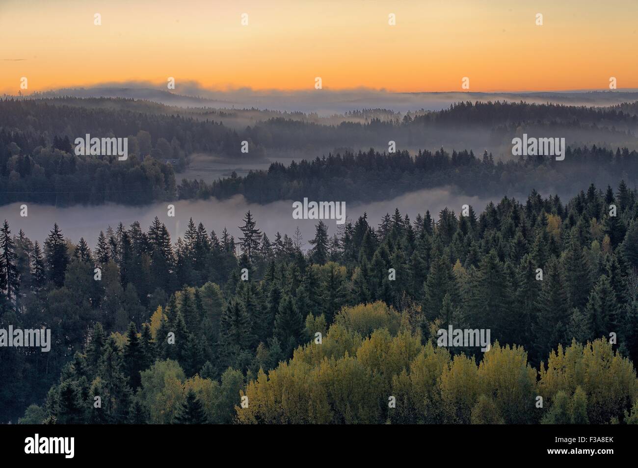 Friedliche Landschaft Aulanko Natur reserve Park in Finnland. Dichter Nebel über der Szene in den frühen Morgenstunden. HDR-Bild. Stockfoto