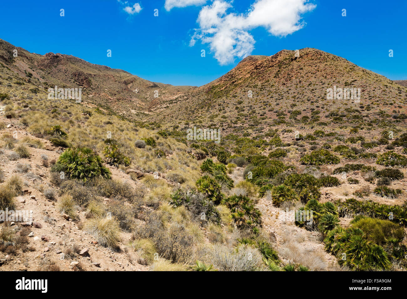 Wüste in der Nähe von Cabo del Gata, Almeria, Spanien Stockfoto