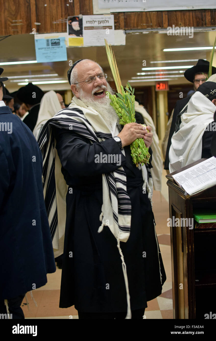 Ein religiösen jüdischer Mann hält ein Esrog & Lulaw führt Morgen Dienstleistungen an Sukkot in einer Synagoge in Brooklyn, New York Stockfoto