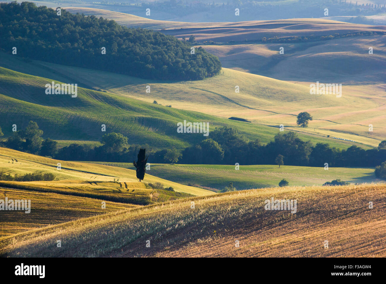 Toskana, Landschaft mit Wiese, Zypressen und einsamen Bauernhaus. Italien Stockfoto