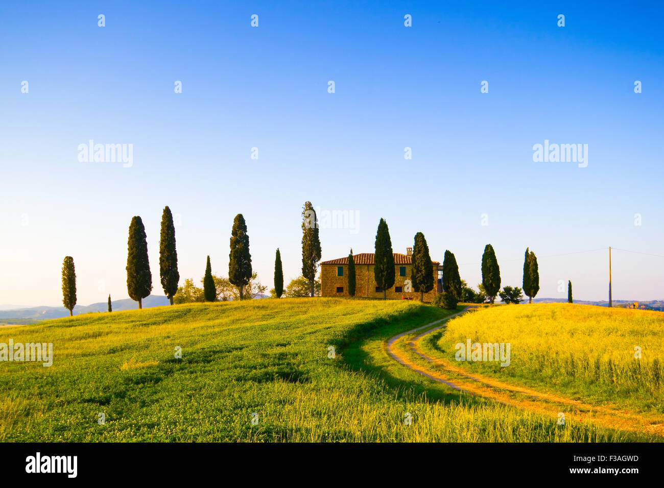 Toskana, Landschaft mit Wiese, Zypressen und einsamen Bauernhaus. Italien Stockfoto