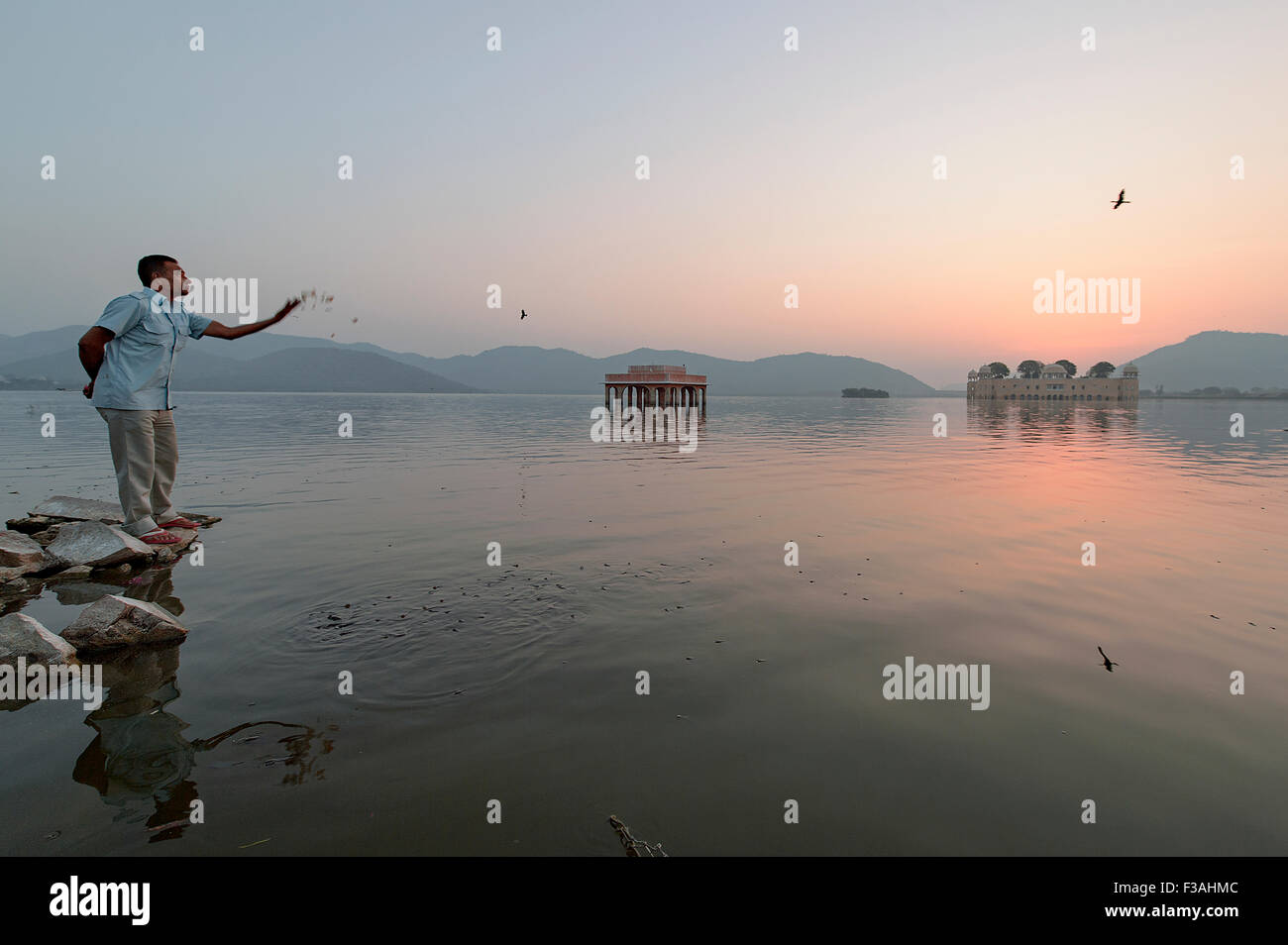 Lokale Mann Fütterung ein Fisch bei Sonnenaufgang bei Jal Mahal Wasserpalast Jaipur, Indien. Stockfoto