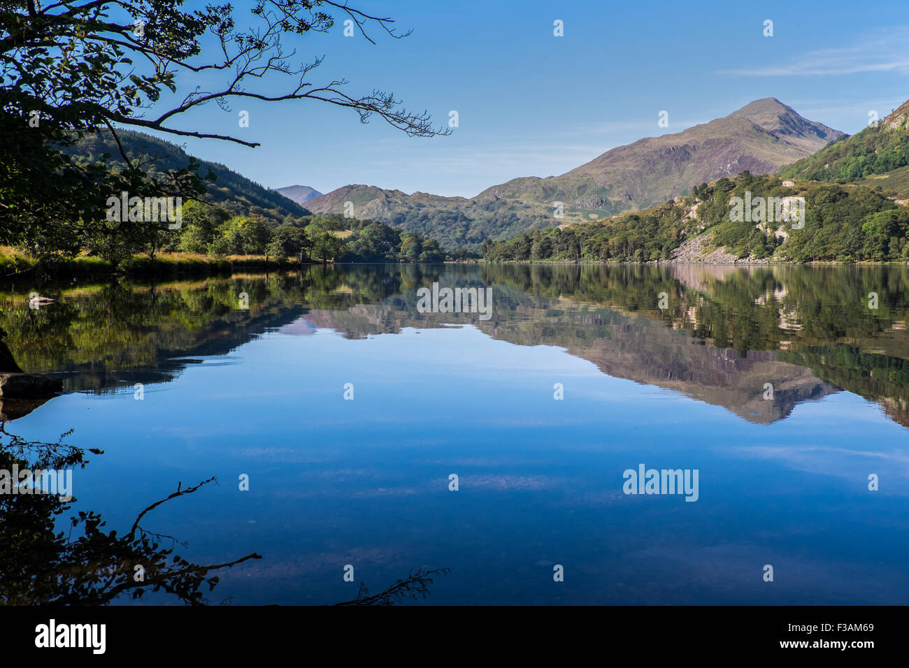 Yr Aran gesehen vom Ufer Llyn Gwynant im Snowdonia National Park, Wales Stockfoto
