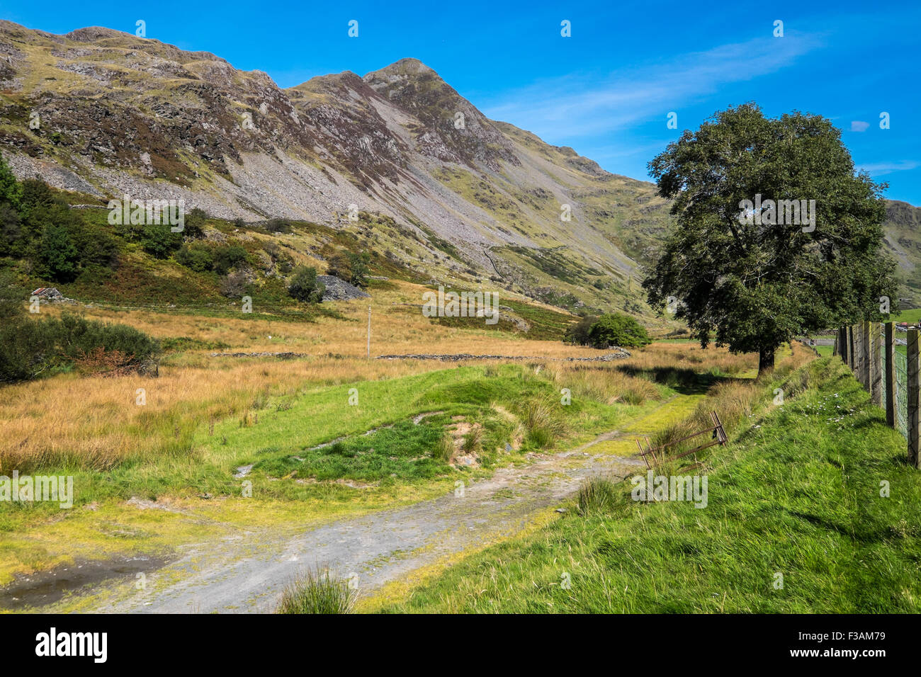 Cnicht gesehen von dem Ansatz aus dem Dorf Croesor, Snowdonia, Wales Stockfoto