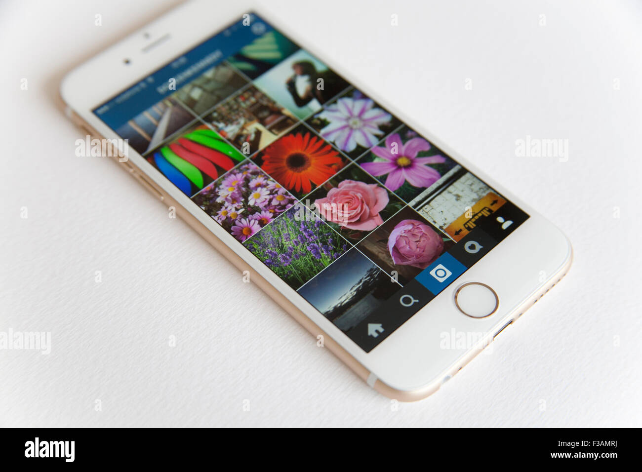 Gold und weiße Apple iPhone 6 mit einem Instagram Foto feed vor einem weißen Hintergrund Stockfoto