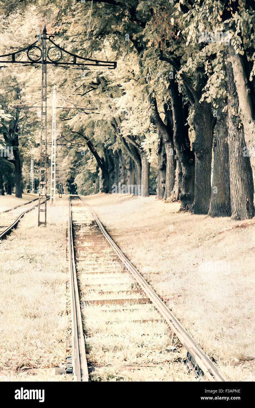 Alten Stil Foto von einer geraden Bahn umgeben von Bäumen Stockfoto