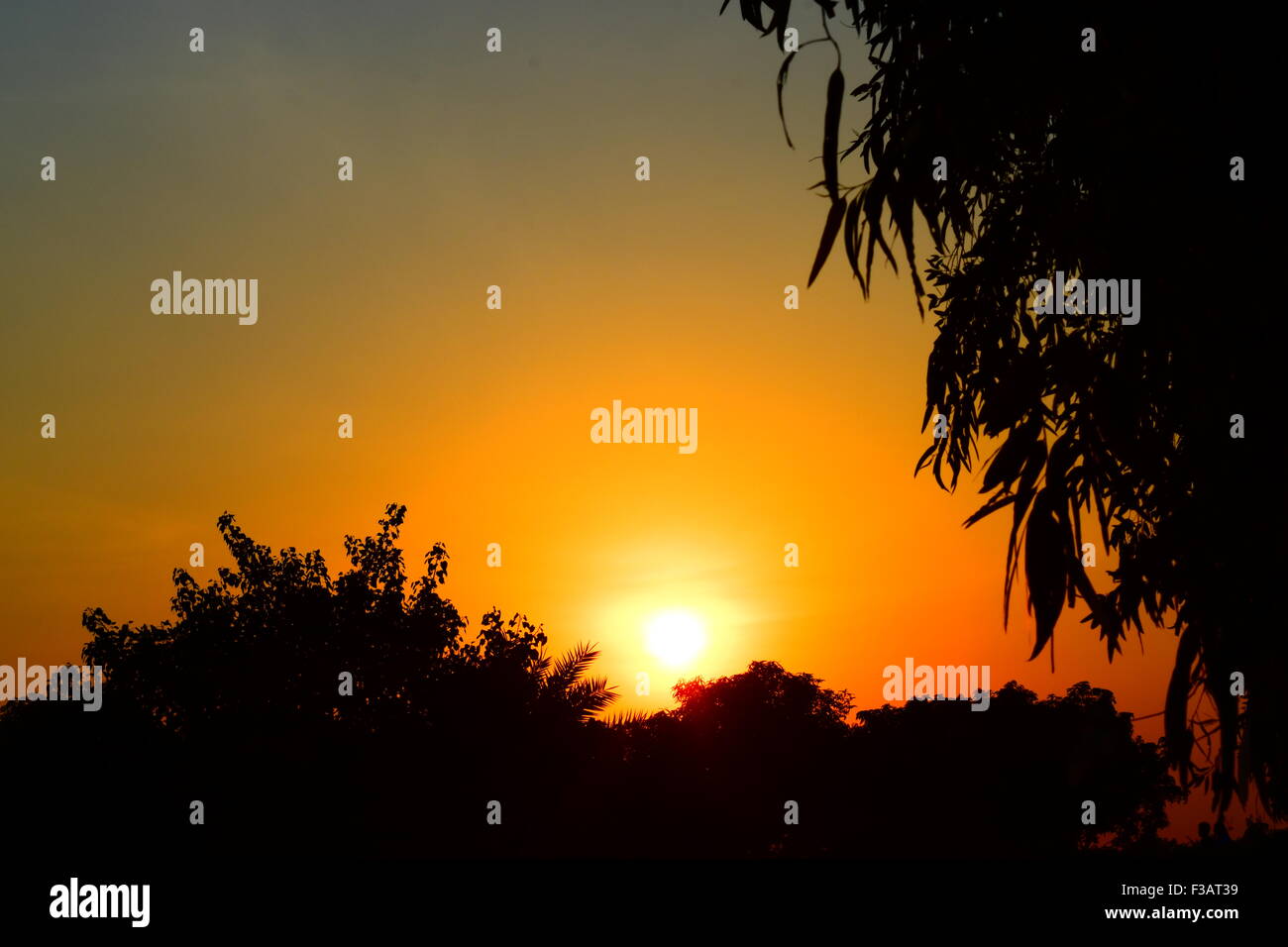 Schöner Sonnenuntergang am Nachmittag fotografieren für jegliche Geschäftszwecke oder Website-Hintergrund-Zwecke. Stockfoto