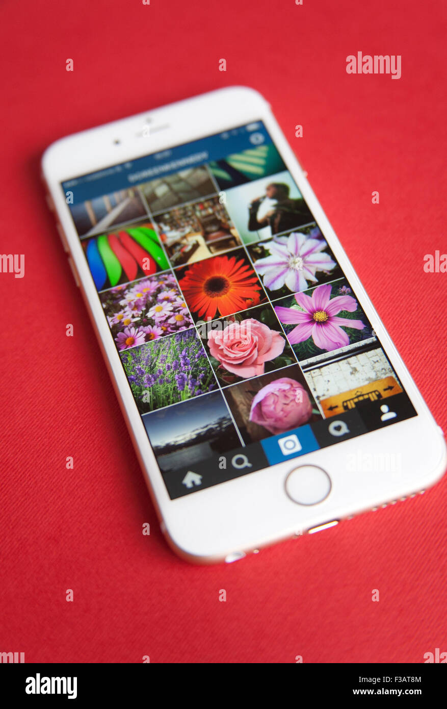 Instagram Foto Feed Bildschirm auf eine goldene und weiße Apple iPhone 6 auf rotem Grund Stockfoto