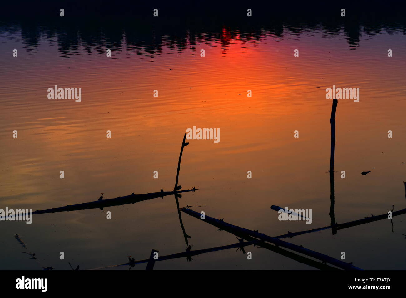 Natürlichen Hintergrund fotografieren, die für den Hintergrund Geschäftszweck und Website Design Zweck verwendet werden können. Stockfoto