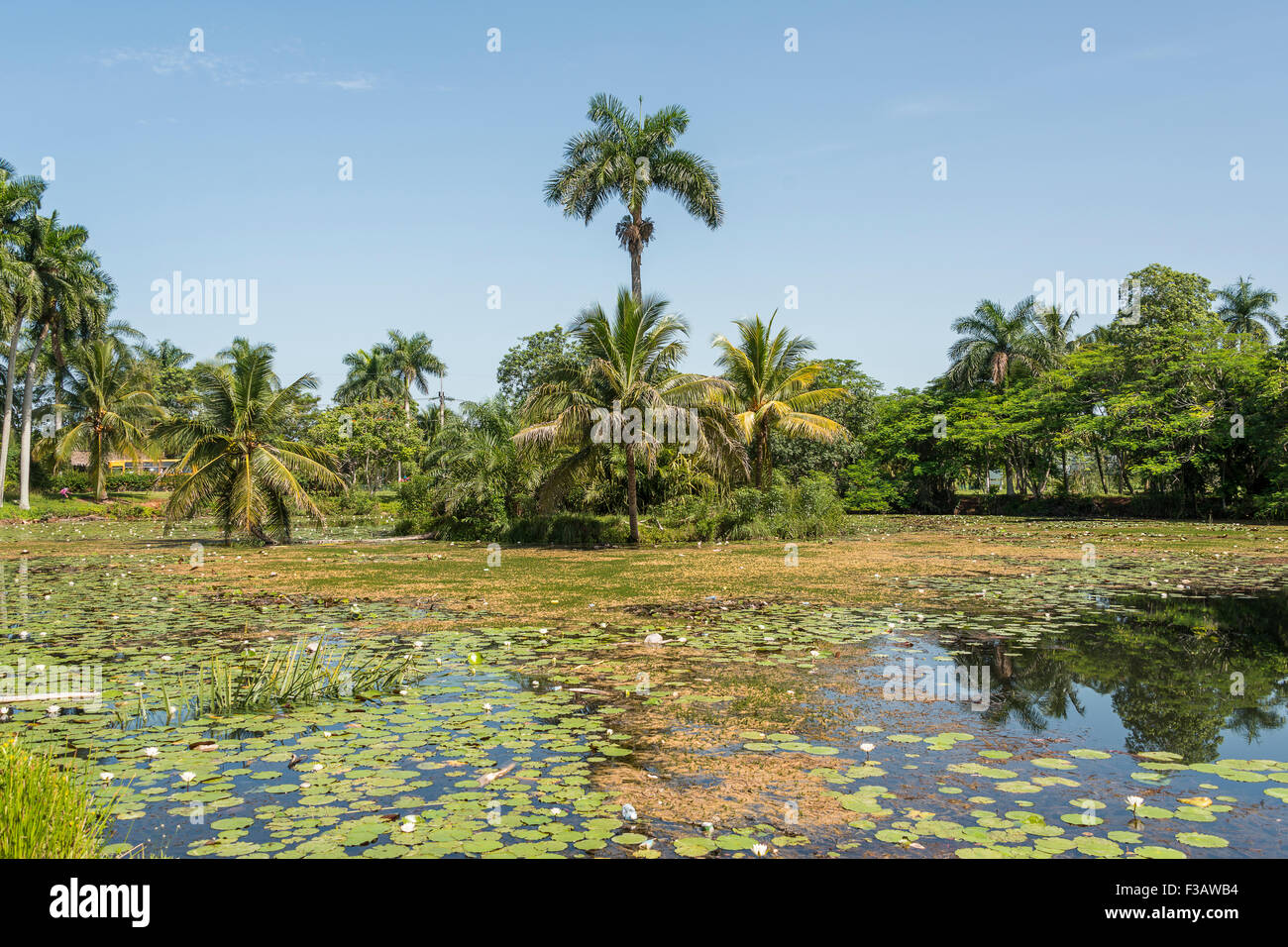 Taino Indianerdorfes in Kuba. Stockfoto