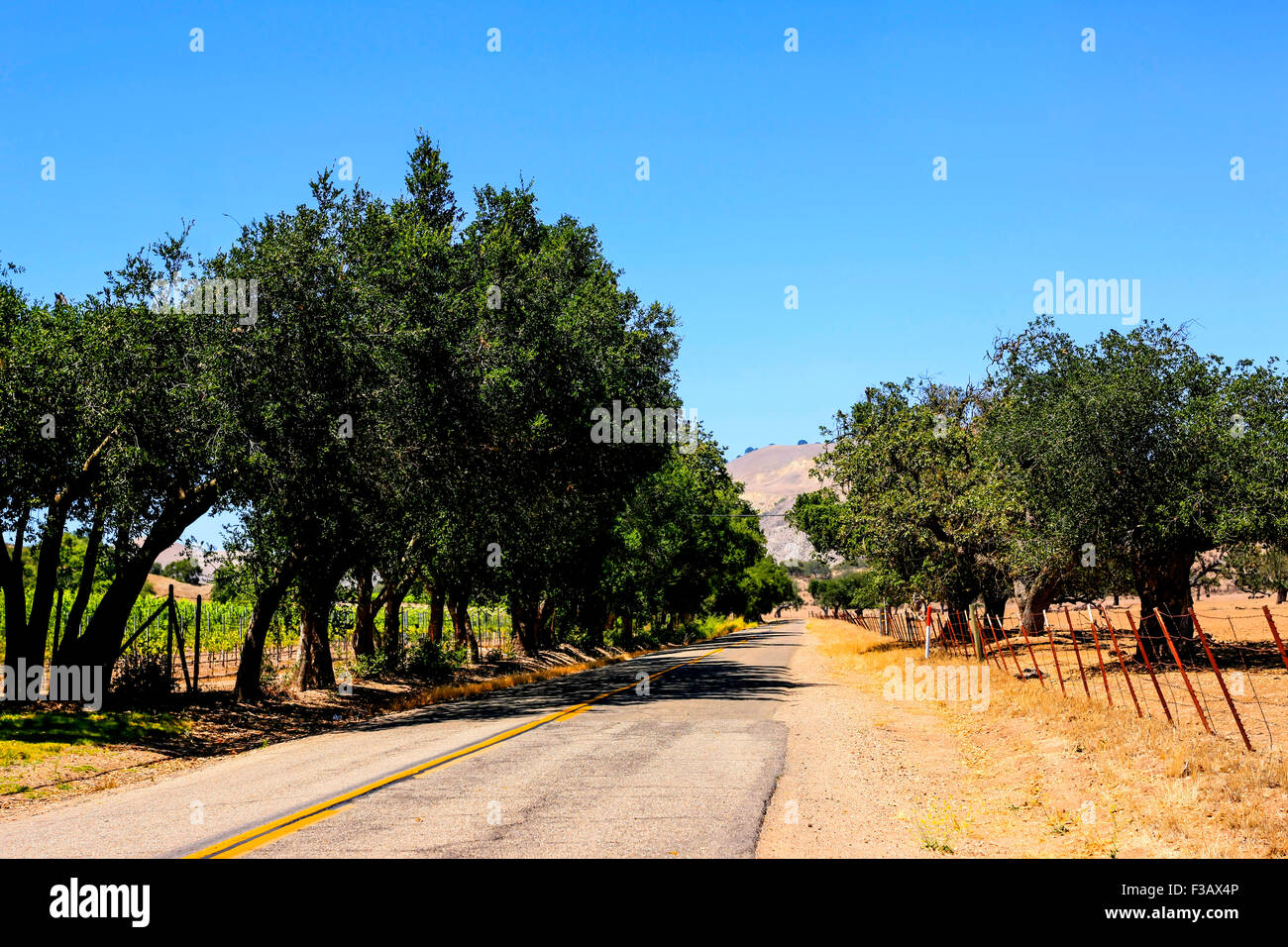 Landschaftsansicht der Foxen Canyon Trail Weinregion in Santa Barbara County, Kalifornien Stockfoto