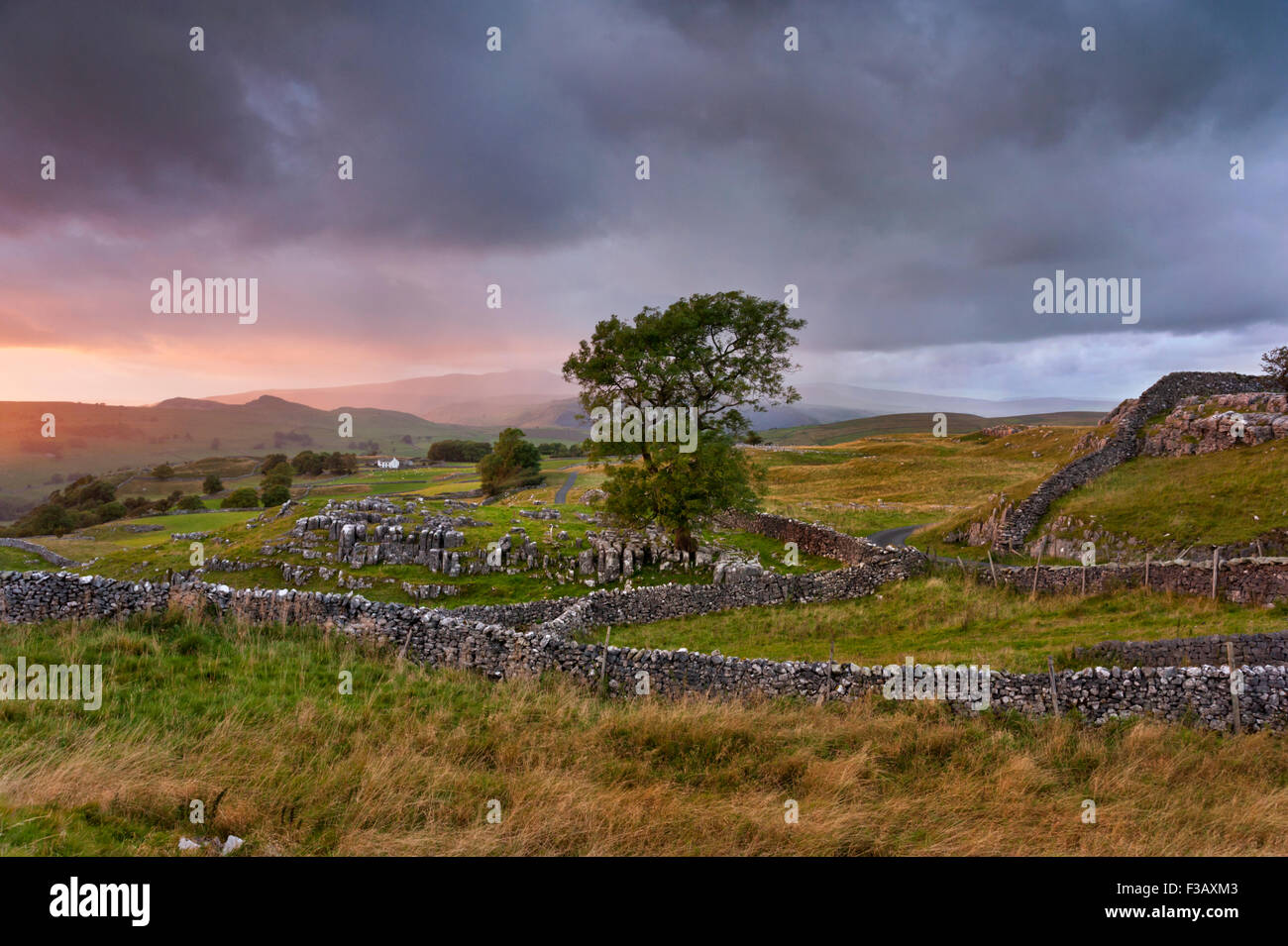 Sonnenuntergang über Winskill Steinen, Langcliffe, in der Nähe von Settle, Yorkshire Dales National Park, UK Stockfoto