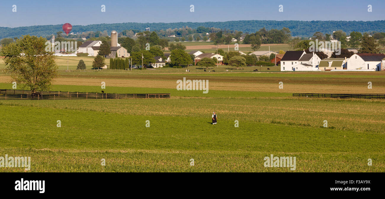 Einsame Amish Frau Kreuzung ein maisfeld Lancaster County Pennsylvania Stockfoto