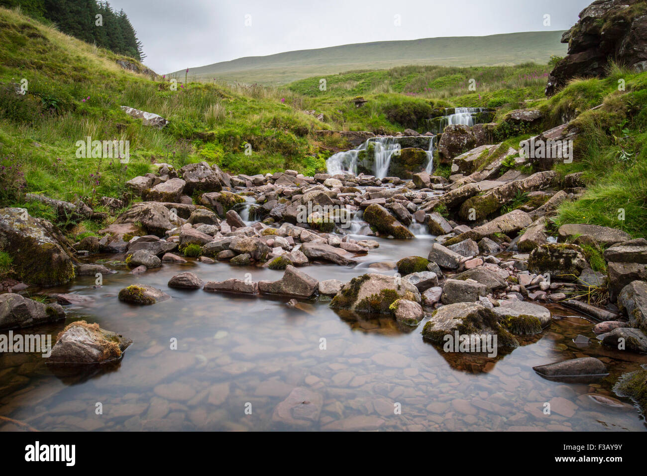 Berg mit fließendem Wasser läuft in stream Stockfoto