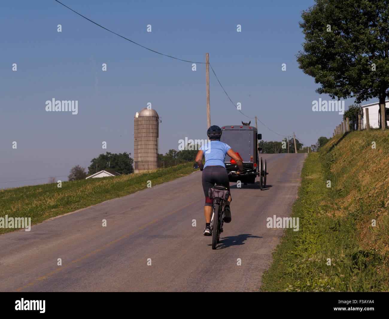 Radfahrerin, die einem Amish-Pferd und einem Buggy entlang einer Landstraße folgt. Lancaster County Pennsylvania USA Stockfoto