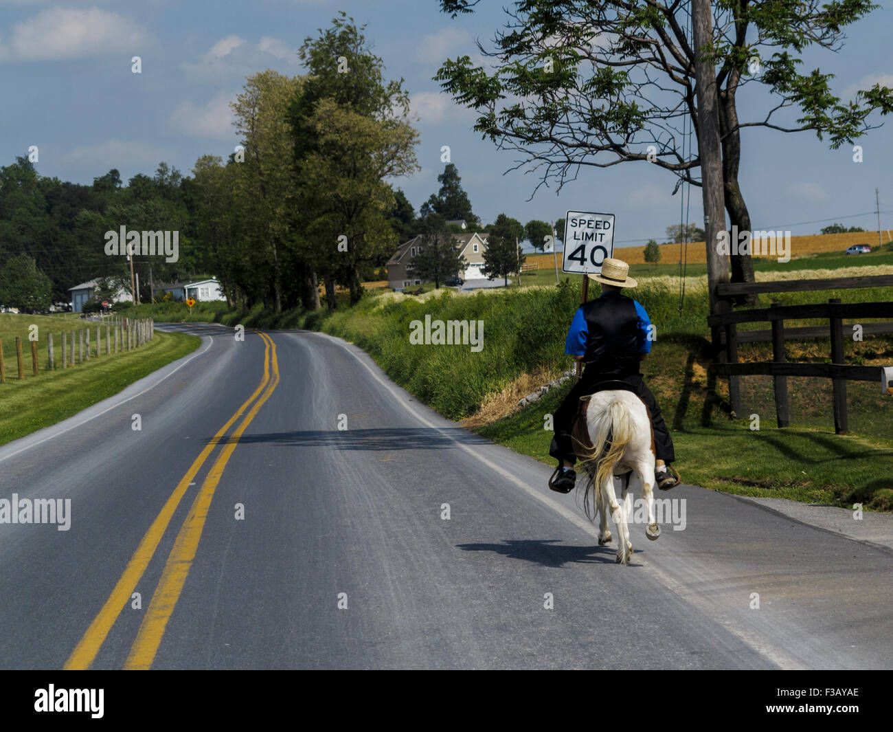 Amish Mann, ein sehr kleines Pony entlang verlassenen Landstraße Lancaster County Pennsylvania USA Stockfoto