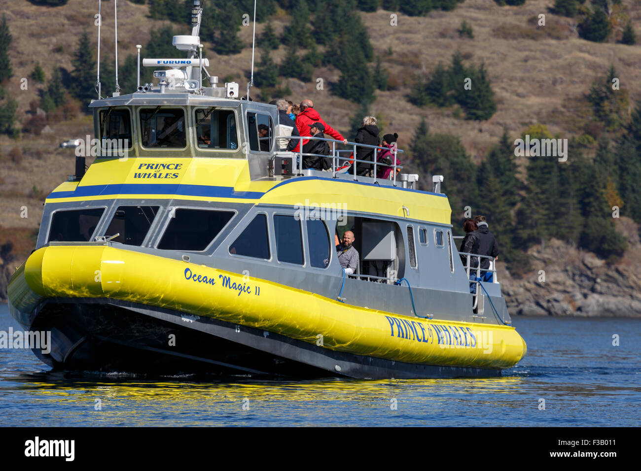 Prinz von Walen Ozean Magic II mit Touristen während eine Whale Watching Tour Stockfoto