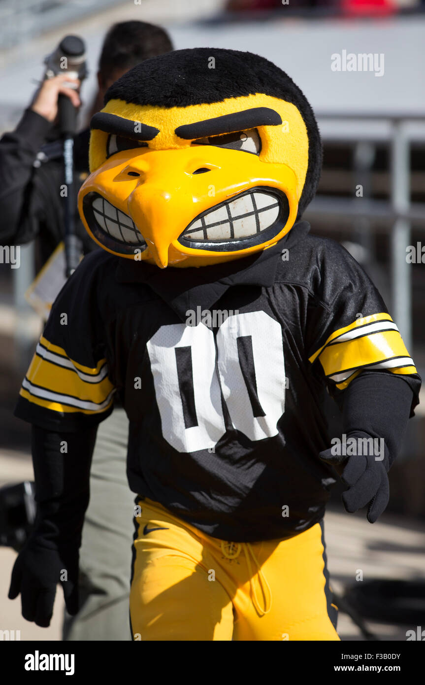 Madison, WI, USA. 3. Oktober 2015. Iowa Maskottchen während der NCAA Football-Spiel zwischen dem Iowa Hawkeyes und die Wisconsin Badgers im Camp Randall Stadium in Madison, Wisconsin. John Fisher/CSM/Alamy Live-Nachrichten Stockfoto