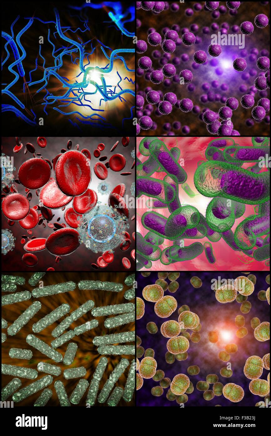 3D Mikroskop Nahaufnahme von verschiedenen Bakterien im Collage Bilder Stockfoto