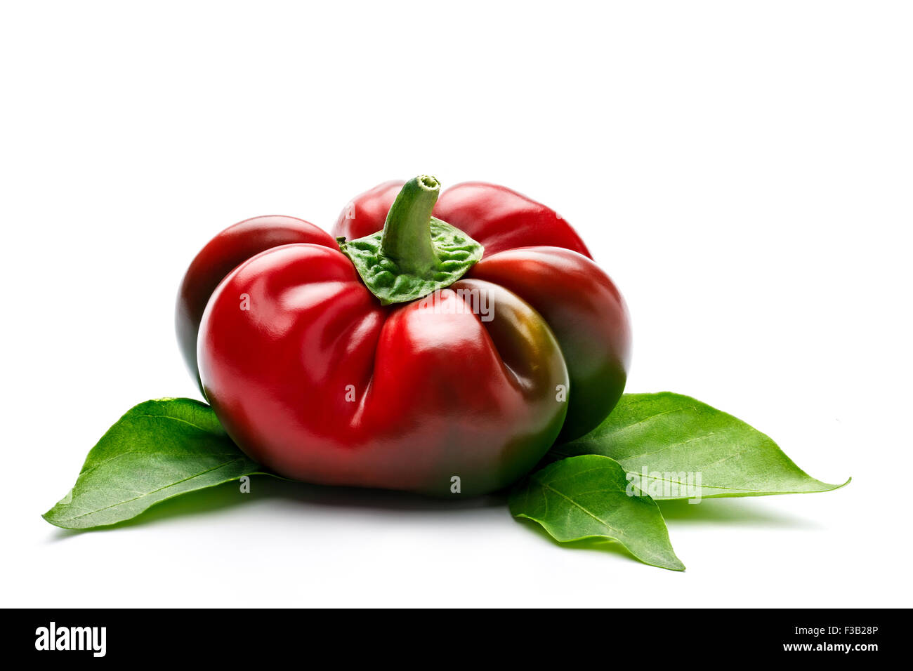 Kugelförmige rote Paprika (Gogoscharii) mit grünen Blättern, die isoliert auf weißem Hintergrund Stockfoto
