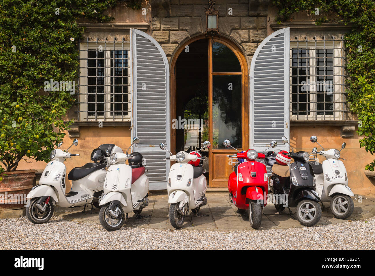 Italienischen Vespas außerhalb Tenuta di Valgiano, Weinberg und Weinkeller, Valgiano, Toskana, Italien Stockfoto