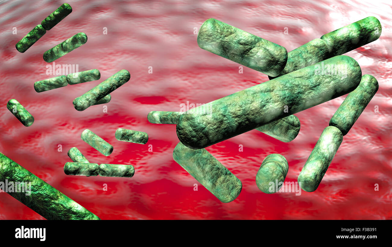 Bacillus Subtilis Bacteria Stockfotos und bilder Kaufen Alamy