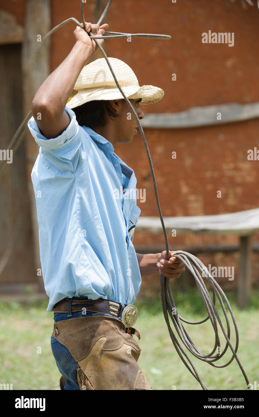 Pantaneiro Abseilen, das Pantanal Mato Grosso, Brasilien Stockfoto