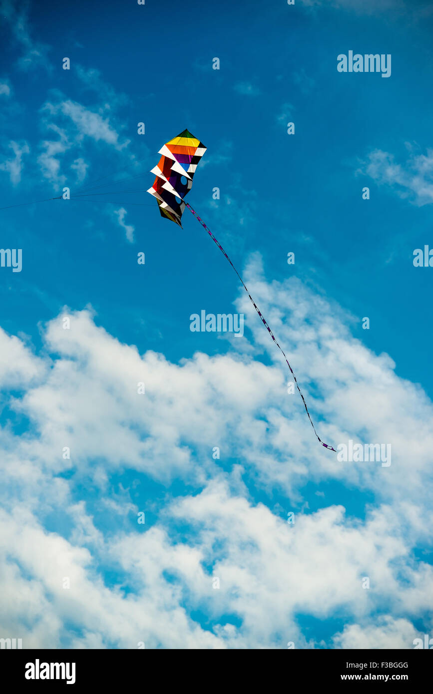 moderne und farbenfrohe Drachensteigen am blauen Himmel Stockfoto
