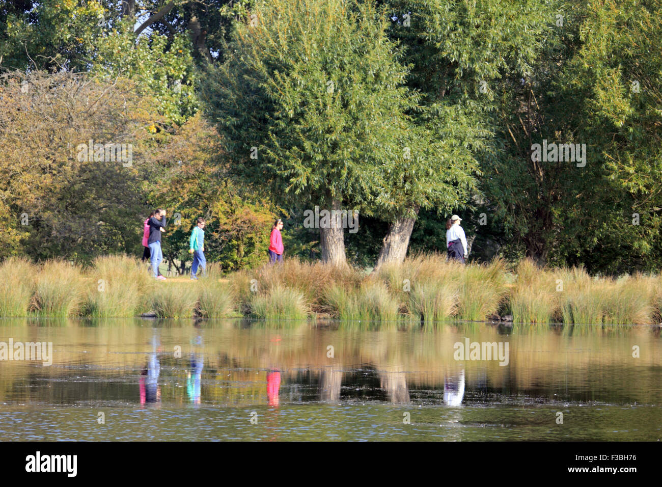Richmond Park, London SW. 4. Oktober 2015. Eine Familie, für einen Spaziergang genießen Sie einen weiteren Tag der Sonne im Südosten Englands mit blauem Himmel und eine leichte Brise. Die Pen-Teiche in Richmond Park beginnen die Bäume Anzeichen zu zeigen, die im Herbst auf dem Weg ist. Bildnachweis: Julia Gavin UK/Alamy Live-Nachrichten Stockfoto