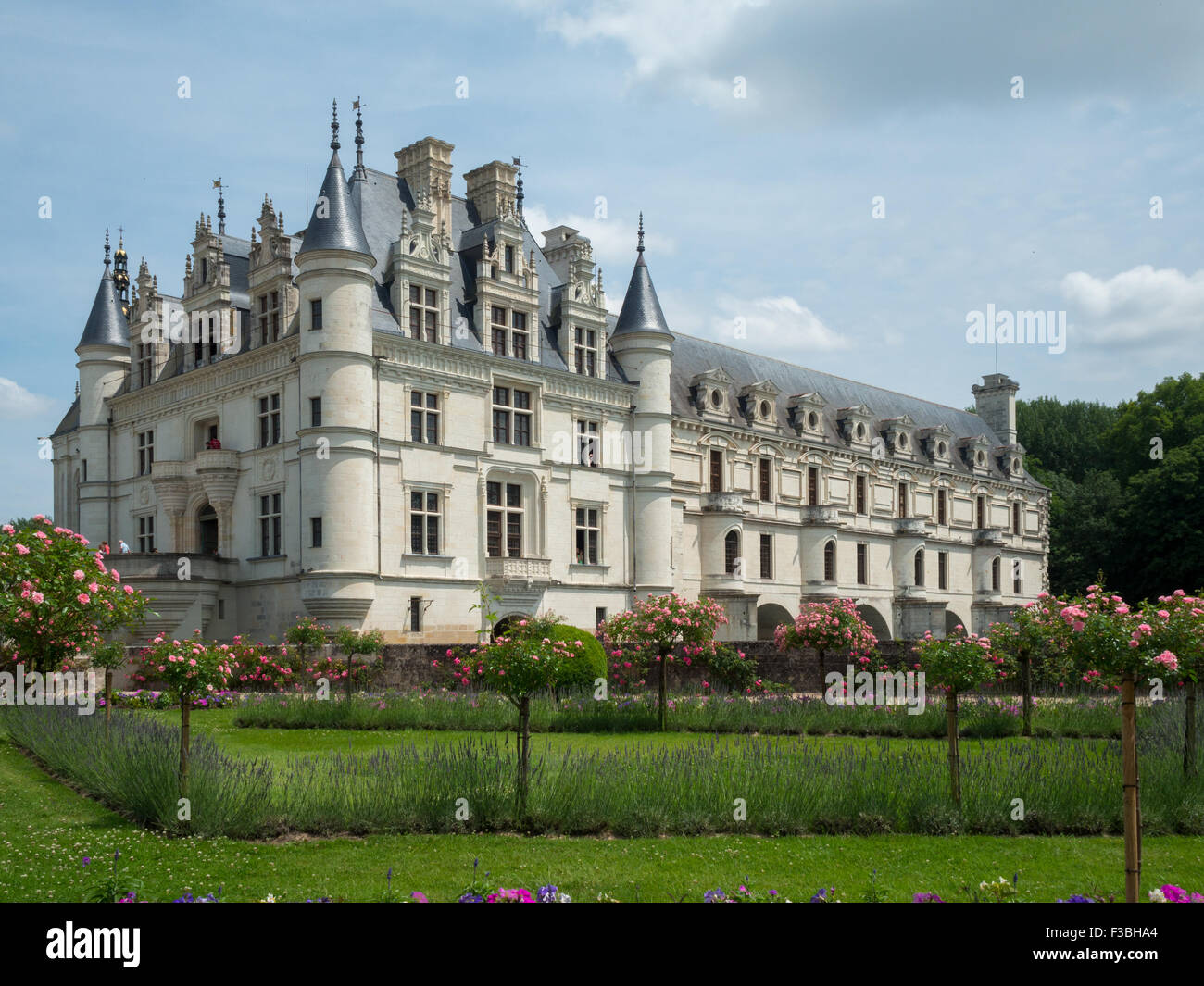 Chateau de Chenonceaux hinter dem Garten Stockfoto