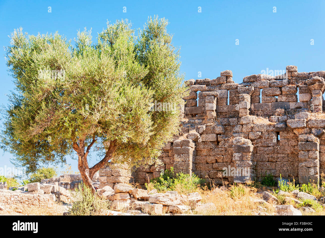 Teil der antiken Stadt Wand-Ruinen, die die Altstadt von Side in der Türkei zu umgeben. Stockfoto