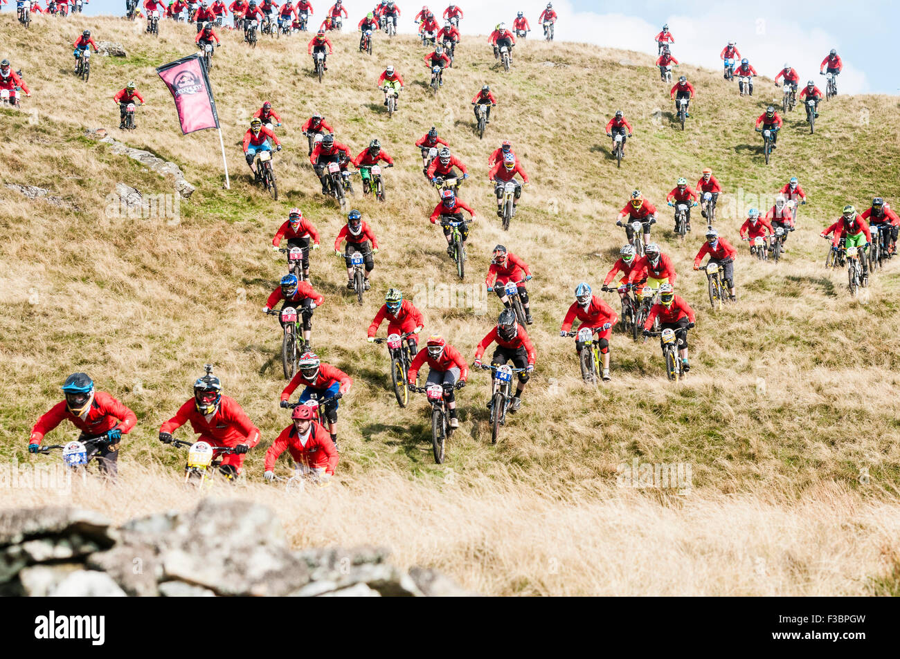 Rostrevor, Nordirland. 4. Oktober 2015 - Wettbewerber Streamen über den Hügel zum Jahresbeginn die Red Bull Foxhunt Mountain Bike downhill Challenge Credit: Stephen Barnes/Alamy Live News Stockfoto