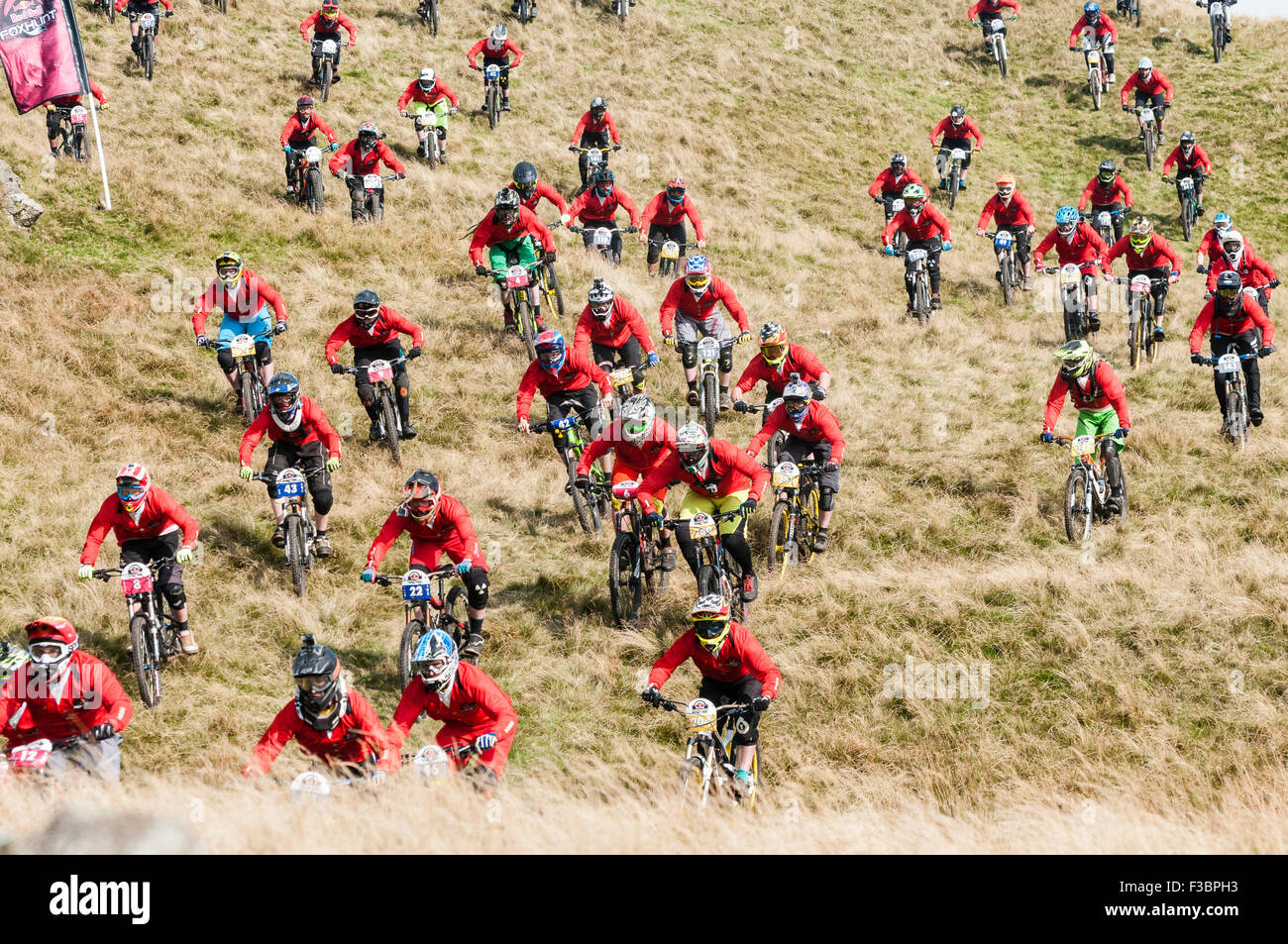 Rostrevor, Nordirland. 4. Oktober 2015 - Wettbewerber Streamen über den Hügel zum Jahresbeginn die Red Bull Foxhunt Mountain Bike downhill Challenge Credit: Stephen Barnes/Alamy Live News Stockfoto